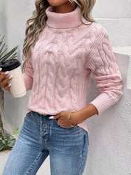 Chic Turtleneck Sweater